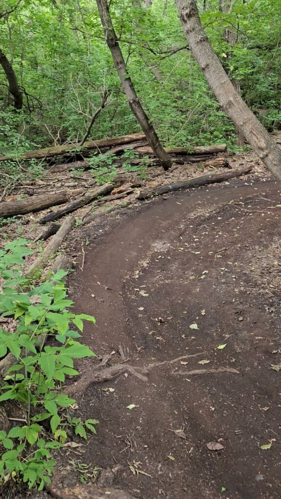 Berm on Goldigger