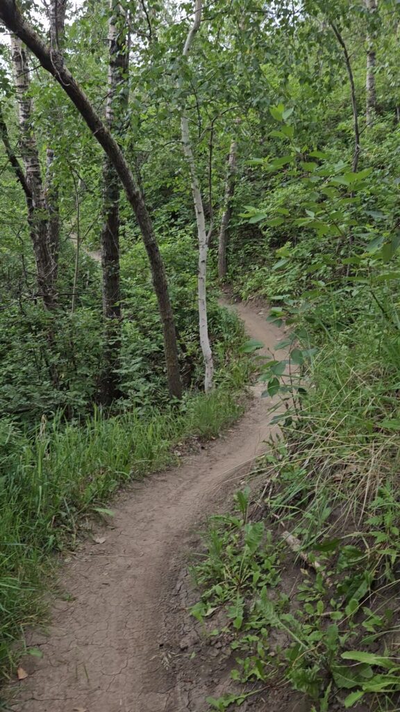 Hustler flowy trail section