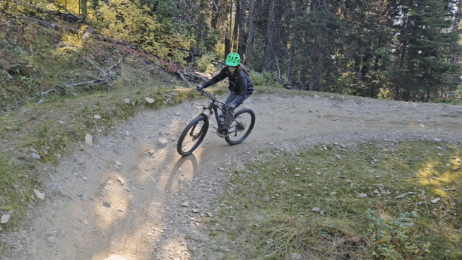 The Craig trail in Valemount with rock supported bridge